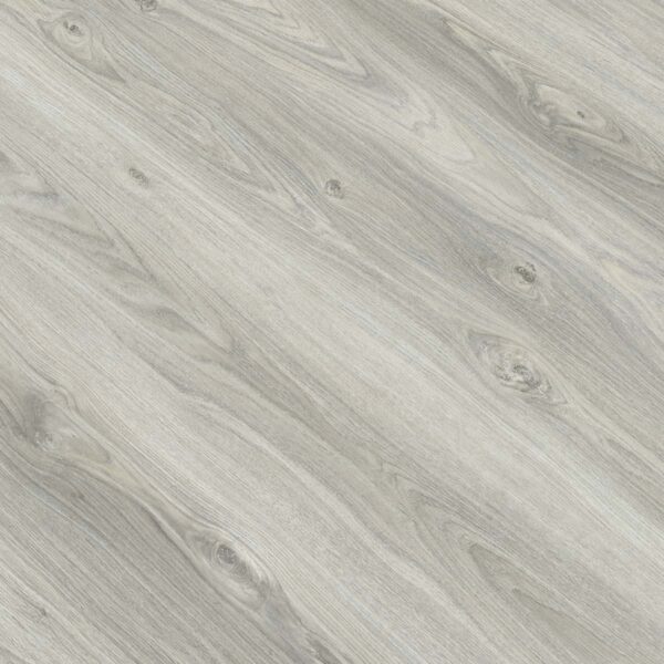 E007 Roble Alaska