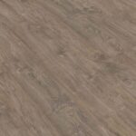PRO883 Roble Milenario 600x600