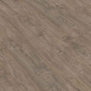 PRO883 Roble Milenario 600x600