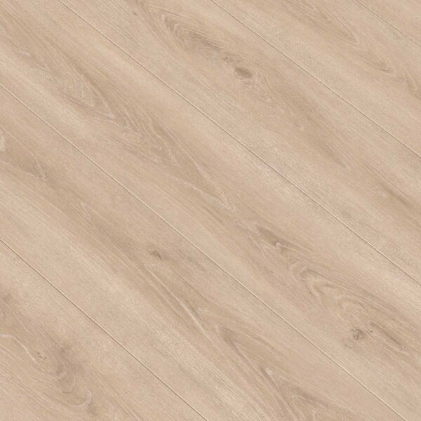 PROD01 Roble Pirineo