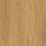 PROD04 Roble Donana 2