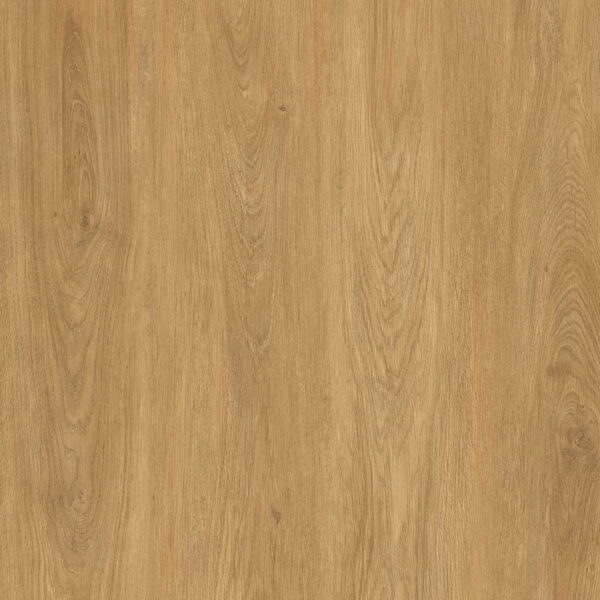 PROD04 Roble Donana 2