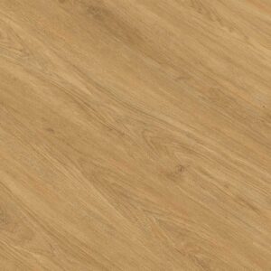 PROD04 Roble Donana