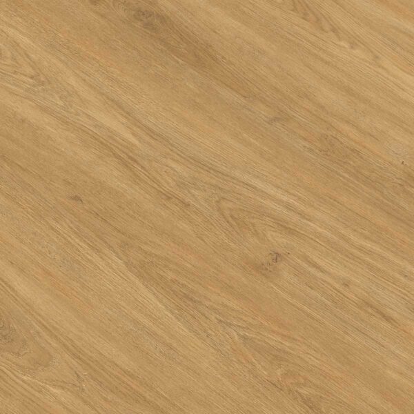 PROD04 Roble Donana