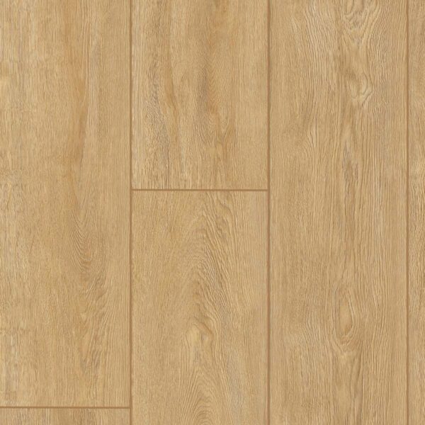 PROG03 Roble Estocolmo 2